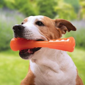 Juguete Bionic para perros